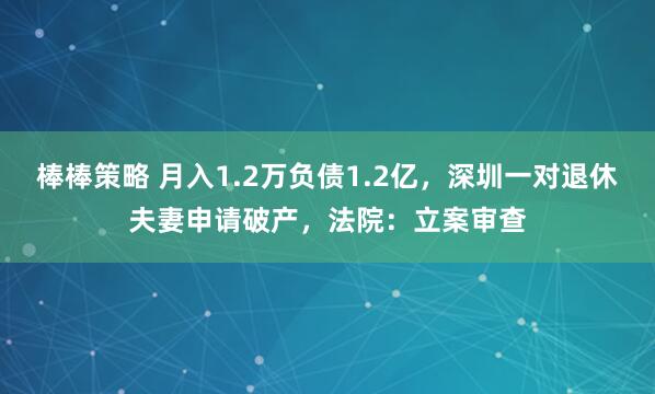 棒棒策略 月入1.2万负债1.2亿，深圳一对退休夫妻申请破产，法院：立案审查
