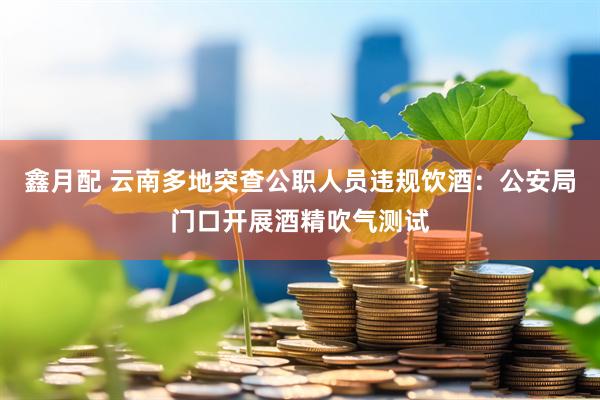鑫月配 云南多地突查公职人员违规饮酒：公安局门口开展酒精吹气测试