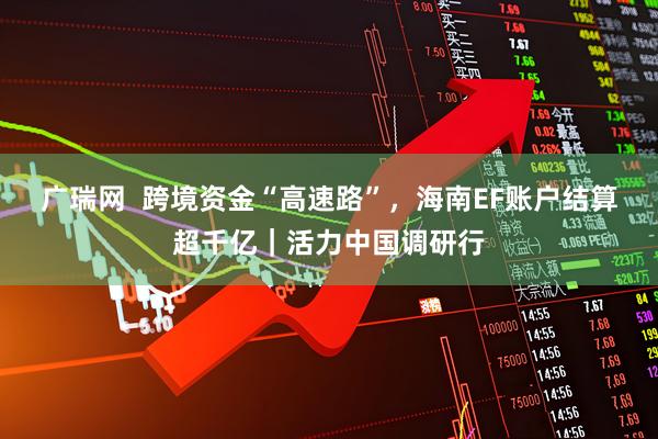 广瑞网  跨境资金“高速路”，海南EF账户结算超千亿｜活力中国调研行