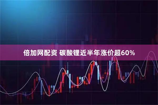 倍加网配资 碳酸锂近半年涨价超60%