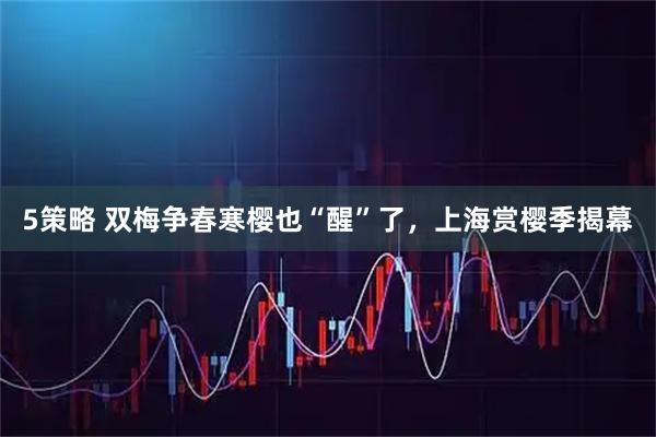 5策略 双梅争春寒樱也“醒”了，上海赏樱季揭幕